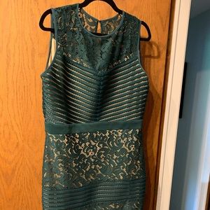 Dress barn lace dress
